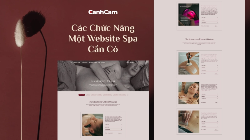 Các chức năng của 1 website spa