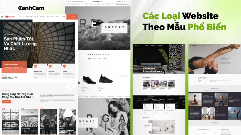 Các Loại Website Theo Mẫu Phổ Biến Hiện Nay