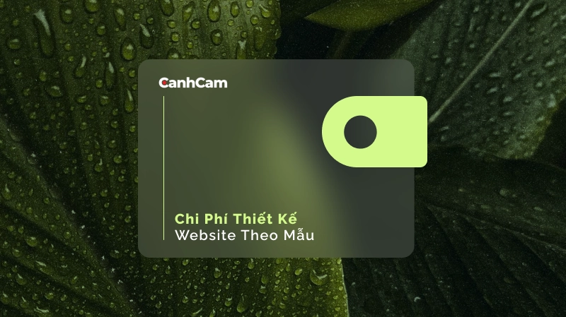 Chi phí thiết kế website theo mẫu phụ thuộc vào những yếu tố nào