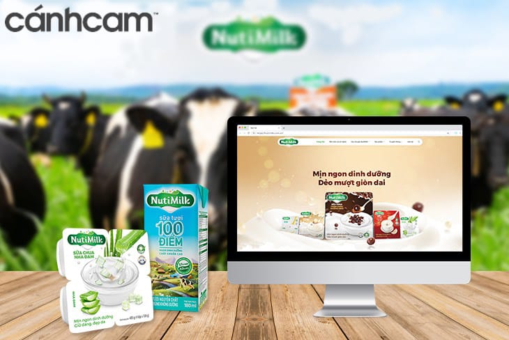 Nhiều dịch vụ thiết kế web ra đời, đáp ứng nhu cầu thiết kế của doanh nghiệp