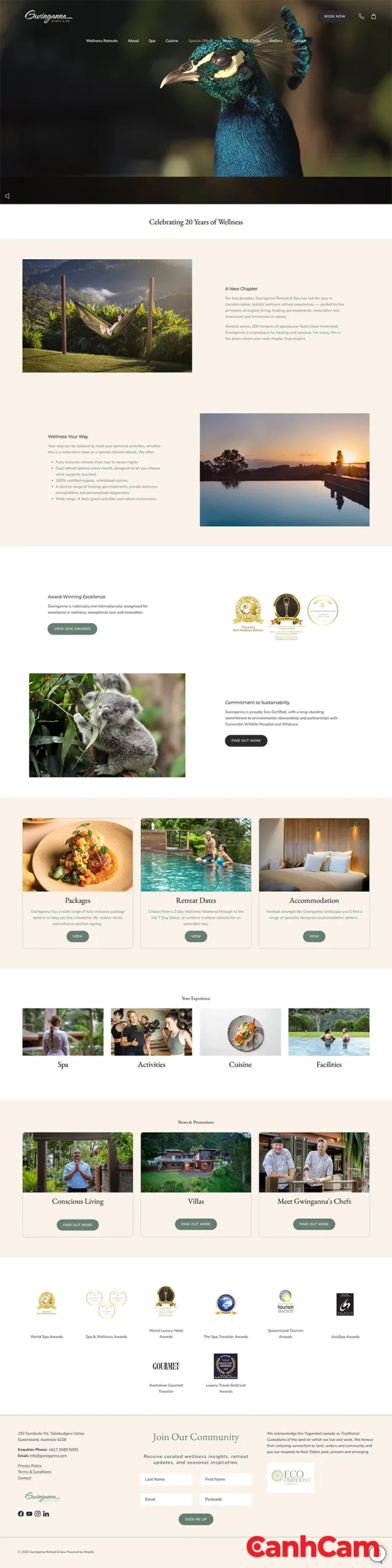Mẫu thiết kế website spa Eco Wellness