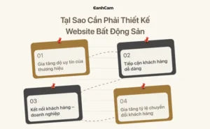 Vì sao doanh nghiệp cần thiết kế website bất động sản