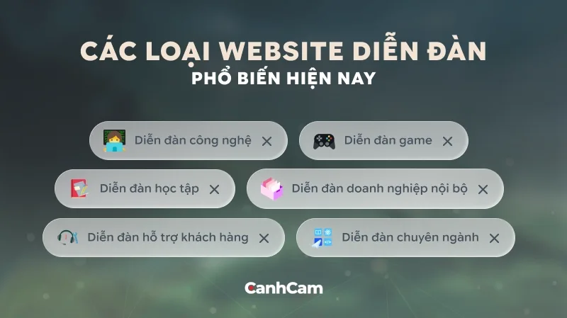 Các loại website diễn đàn phổ biến hiện nay