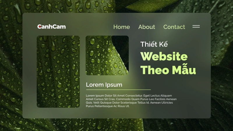 Thiết Kế Website Theo Mẫu Là Gì