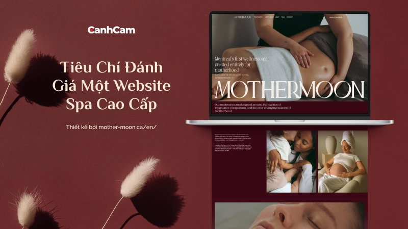 Tiêu chí để đánh giá một bản thiết kế website spa
