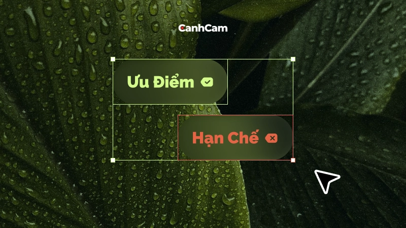 Ưu Điểm Và Hạn Chế Của Thiết Kế Website Theo Mẫu