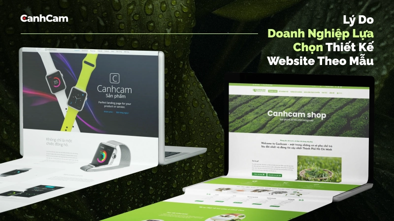 Vì Sao Doanh Nghiệp Lựa Chọn Thiết Kế Website Theo Mẫu